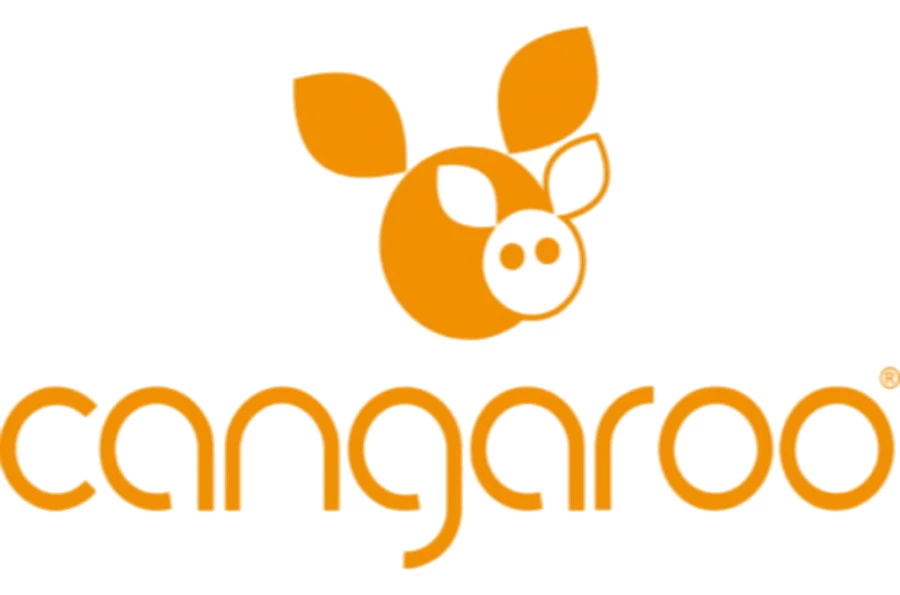 Cangaroo Polly Black 3-in-1 Combi Kinderwagen Incl. Autostoel 11 Cangaroo Polly Black 3-in-1 Combi Kinderwagen Incl. Autostoel - Afbeelding 11