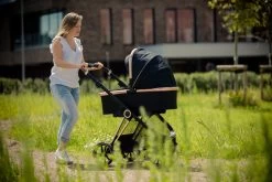 Ding Fenix Black/Rose Kinderwagen DI-191702 33 Ding Fenix Black/Rose Kinderwagen DI-191702 -Baby Verkoop ding fenix rose kinderwagen