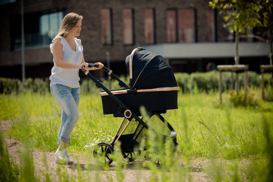 Ding Fenix Black/Rose Kinderwagen DI-191702 16 Ding Fenix Black/Rose Kinderwagen DI-191702 - Afbeelding 16