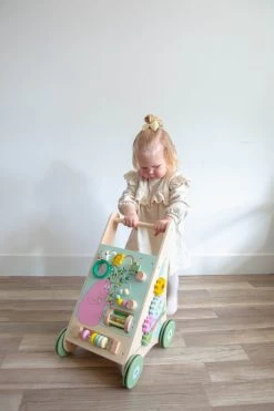 Label Label Barbapapa Houten Activiteiten Loopwagen LLBB-35830 -Baby Verkoop llbb 35830 barbapapa wooden activity walker 01