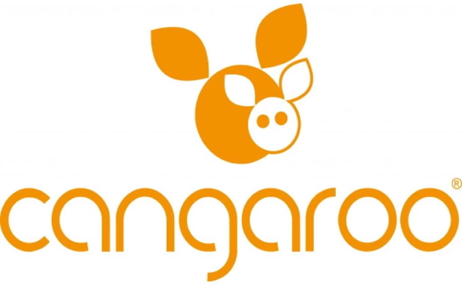 Cangaroo Explorer Black Ergonomische Draagzak 7124 2 Cangaroo Explorer Black Ergonomische Draagzak 7124 - Afbeelding 2