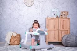 Lorelli Rider Pink & Grey 2-in-1 Loopstoeltje 1012039-0002 -Baby Verkoop lorelli rider grey white 2 in 1 loopstoeltje 1012039 0001 6 1 2