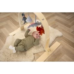 Tryco Houten Babygym TR-303011 -Baby Verkoop mamaloes tryco babygym 01 1