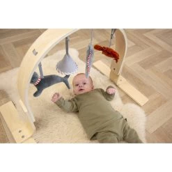Tryco Houten Babygym TR-303011 -Baby Verkoop mamaloes tryco babygym 02 1