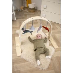Tryco Houten Babygym TR-303011 -Baby Verkoop mamaloes tryco babygym 03 1