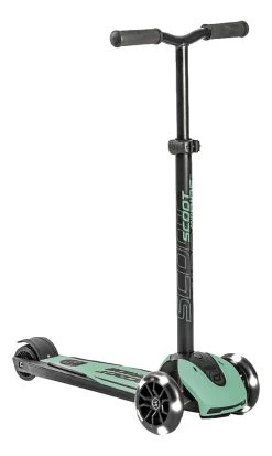 Scoot And Ride Forest Highwaykick 5 Step SR-96438